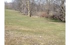 Property photo 3 - 90 Acres Offered in 3 Tracts - Attractive Rolling Acreage