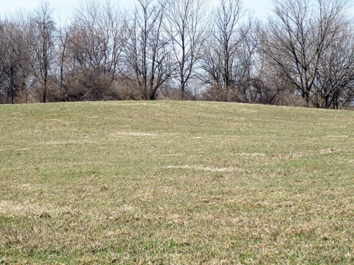 Property photo 2 - 90 Acres Offered in 3 Tracts - Attractive Rolling Acreage