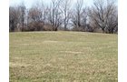 Property photo 2 - 90 Acres Offered in 3 Tracts - Attractive Rolling Acreage