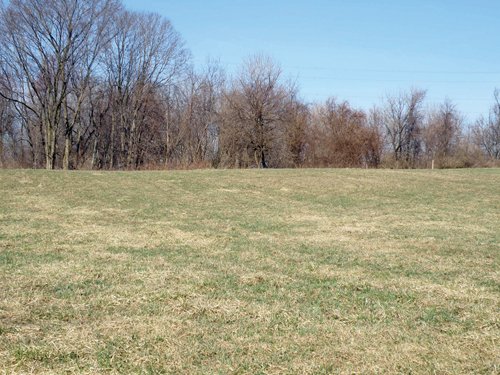 Property photo 6 - 90 Acres Offered in 3 Tracts - Attractive Rolling Acreage