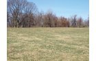 Property photo 6 - 90 Acres Offered in 3 Tracts - Attractive Rolling Acreage