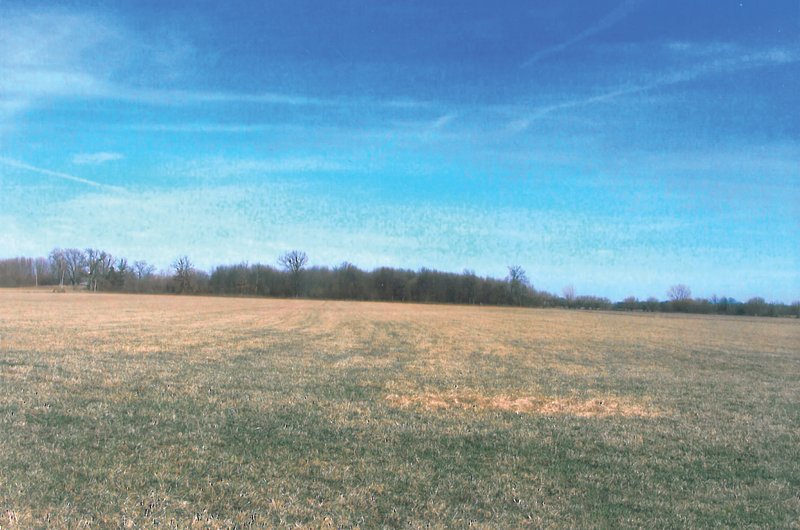 Property photo 1 - 101.6 Acres Offered in 4 Tracts