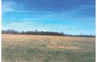 Property photo 1 - 101.6 Acres Offered in 4 Tracts