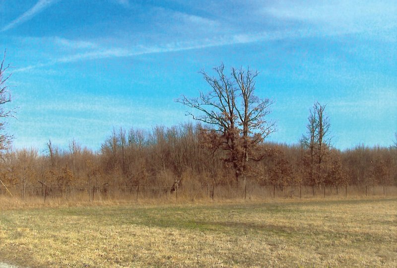 Property photo 3 - 101.6 Acres Offered in 4 Tracts