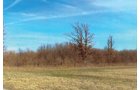 Property photo 3 - 101.6 Acres Offered in 4 Tracts