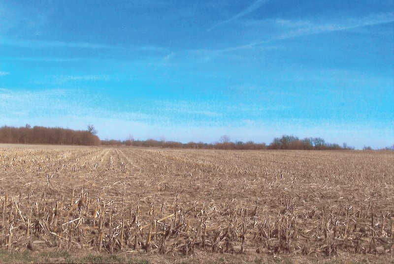 Property photo 4 - 101.6 Acres Offered in 4 Tracts