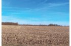 Property photo 4 - 101.6 Acres Offered in 4 Tracts
