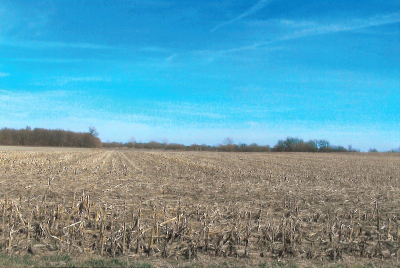 Property photo 2 - 101.6 Acres Offered in 4 Tracts