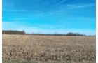 Property photo 2 - 101.6 Acres Offered in 4 Tracts