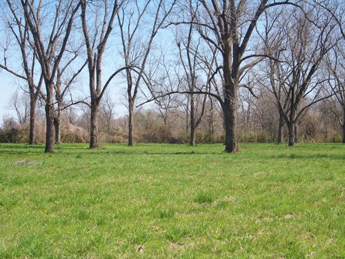 Property photo 7 - 1,129 Acres in 5 Tracts - Oklahoma Land Auction