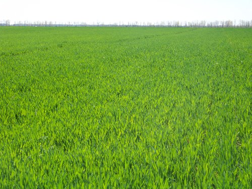 Property photo 2 - 1,129 Acres in 5 Tracts - Oklahoma Land Auction