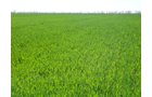 Property photo 2 - 1,129 Acres in 5 Tracts - Oklahoma Land Auction