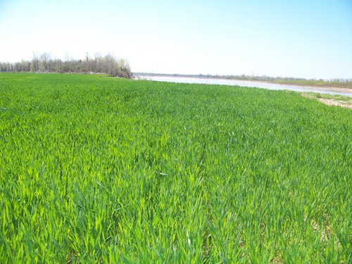 Property photo 3 - 1,129 Acres in 5 Tracts - Oklahoma Land Auction