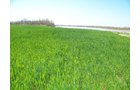 Property photo 3 - 1,129 Acres in 5 Tracts - Oklahoma Land Auction