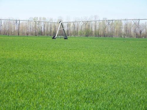 Property photo 1 - 1,129 Acres in 5 Tracts - Oklahoma Land Auction