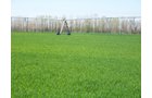 Property photo 1 - 1,129 Acres in 5 Tracts - Oklahoma Land Auction