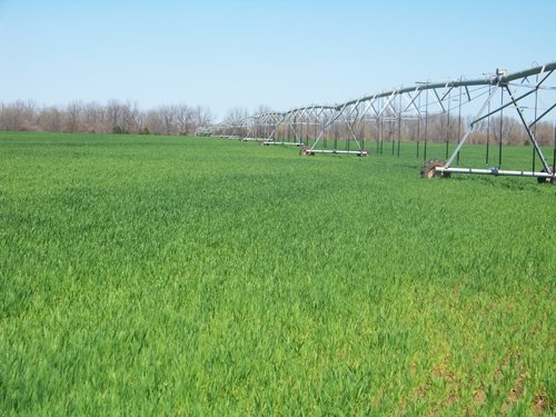 Property photo 4 - 1,129 Acres in 5 Tracts - Oklahoma Land Auction