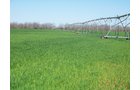 Property photo 4 - 1,129 Acres in 5 Tracts - Oklahoma Land Auction