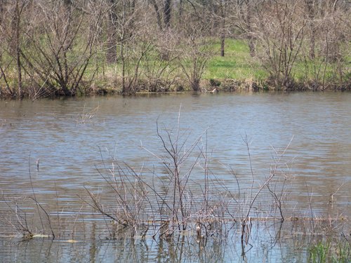 Property photo 5 - 1,129 Acres in 5 Tracts - Oklahoma Land Auction