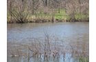 Property photo 5 - 1,129 Acres in 5 Tracts - Oklahoma Land Auction