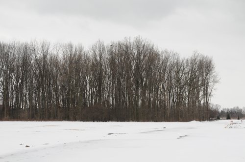Property photo 5 - 54,000 SF Building - 29 Acres - 5 Prime Out Parcels - Along 80/90
