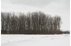 Property photo 5 - 54,000 SF Building - 29 Acres - 5 Prime Out Parcels - Along 80/90