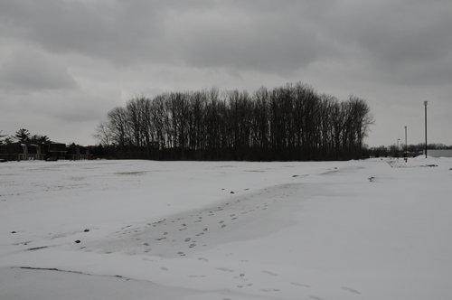 Property photo 38 - 54,000 SF Building - 29 Acres - 5 Prime Out Parcels - Along 80/90