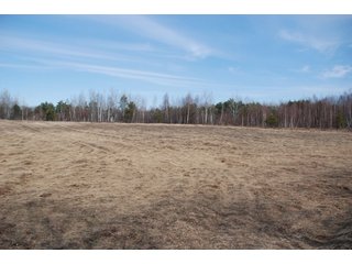 Tract 29 - Michigan Tree Farm - 2,174 acres in 53 Real Estate Tracts and 25 Tree Tracts