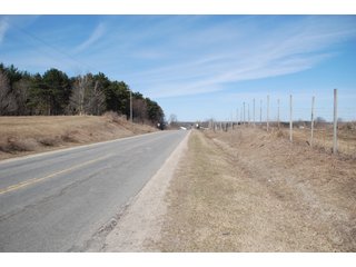 Tract 31 - Michigan Tree Farm - 2,174 acres in 53 Real Estate Tracts and 25 Tree Tracts