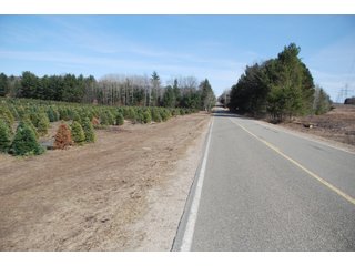 Tract 49 - Michigan Tree Farm - 2,174 acres in 53 Real Estate Tracts and 25 Tree Tracts