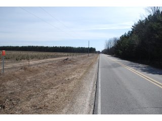 Tract 48 - Michigan Tree Farm - 2,174 acres in 53 Real Estate Tracts and 25 Tree Tracts