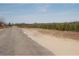Tract 45 - Michigan Tree Farm - 2,174 acres in 53 Real Estate Tracts and 25 Tree Tracts