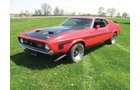 Property photo 6 - Antique Muscle Cars, Brick Home on 5 Acres
