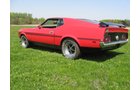 Property photo 15 - Antique Muscle Cars, Brick Home on 5 Acres