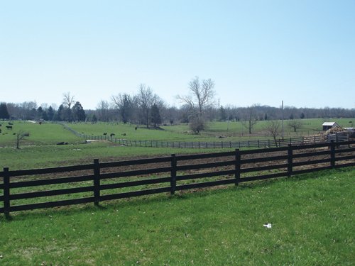 Property photo 3 - 188 Acres Offered in 5 Tracts
