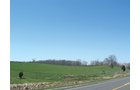 Property photo 10 - 188 Acres Offered in 5 Tracts