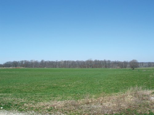 Property photo 7 - 188 Acres Offered in 5 Tracts