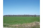 Property photo 7 - 188 Acres Offered in 5 Tracts