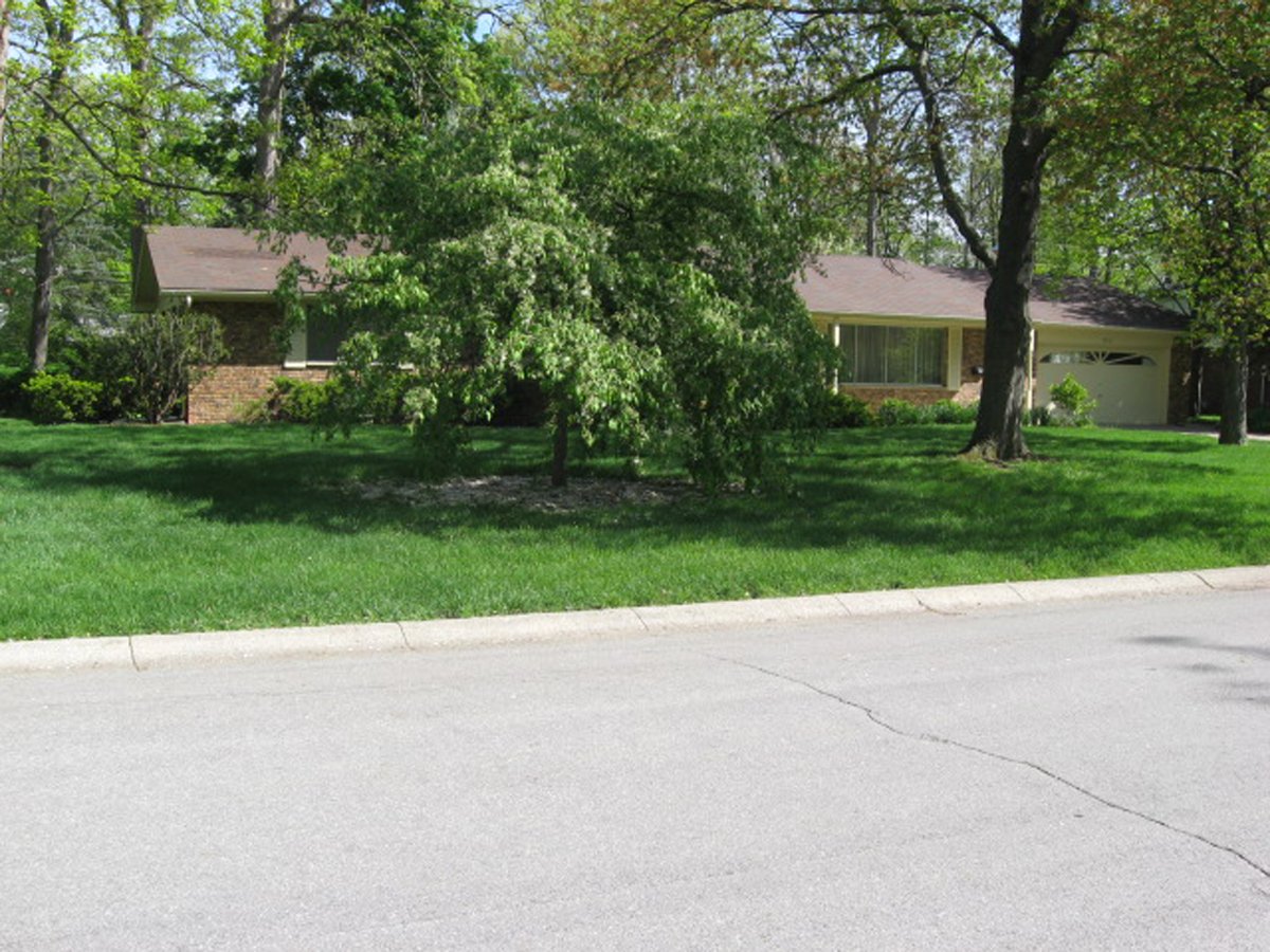 Property photo 13 - Estate Auction - 3 Bedroom Home and Personal Property
