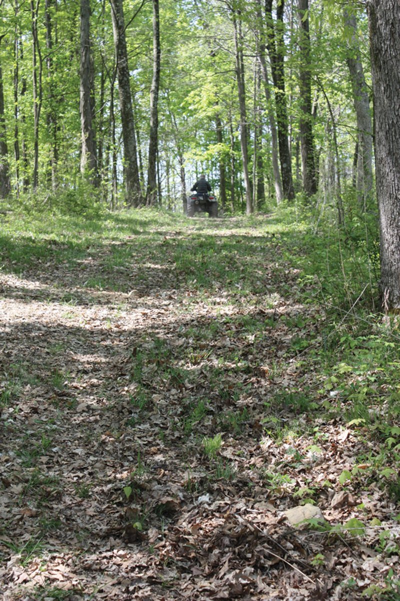 Property photo 11 - Excellent Hunting - Potential Private Retreat - 326 Acres in 3 Tracts