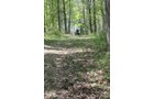 Property photo 11 - Excellent Hunting - Potential Private Retreat - 326 Acres in 3 Tracts