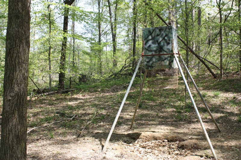 Property photo 3 - Excellent Hunting - Potential Private Retreat - 326 Acres in 3 Tracts