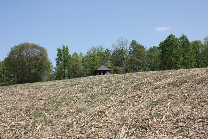 Property photo 4 - Excellent Hunting - Potential Private Retreat - 326 Acres in 3 Tracts