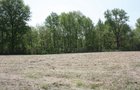 Property photo 18 - Excellent Hunting - Potential Private Retreat - 326 Acres in 3 Tracts