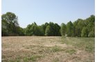 Property photo 12 - Excellent Hunting - Potential Private Retreat - 326 Acres in 3 Tracts