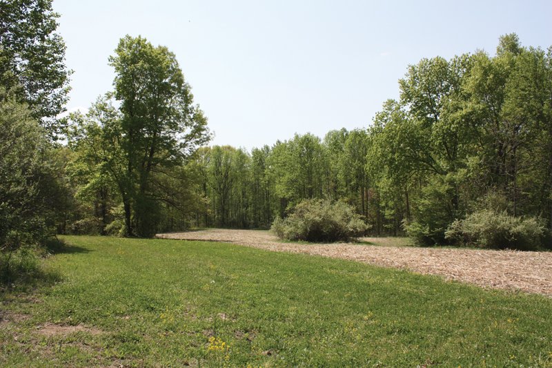Property photo 13 - Excellent Hunting - Potential Private Retreat - 326 Acres in 3 Tracts