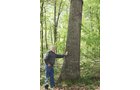 Property photo 48 - Excellent Hunting - Potential Private Retreat - 326 Acres in 3 Tracts
