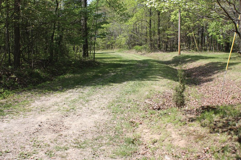 Property photo 36 - Excellent Hunting - Potential Private Retreat - 326 Acres in 3 Tracts