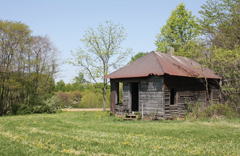 Property photo 16 - Excellent Hunting - Potential Private Retreat - 326 Acres in 3 Tracts