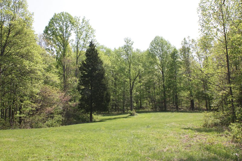 Property photo 21 - Excellent Hunting - Potential Private Retreat - 326 Acres in 3 Tracts